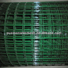 Euro Fence Waving Fencing / 50 * 50 Голландия Сварная проволочная сетка